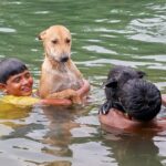 Dhaka braces for further rainfall as heatwave persists despite overnight showers