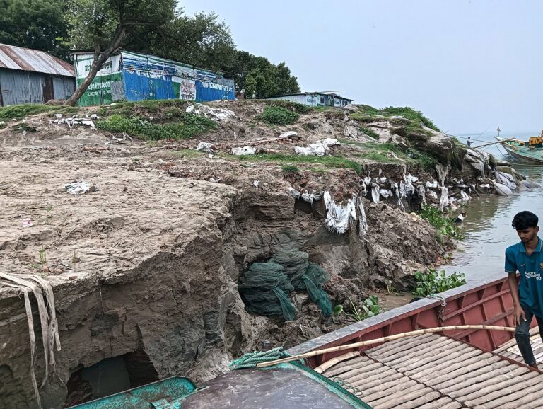 Erosion threatens Daulatdia ferry terminal and local residents in Rajbari