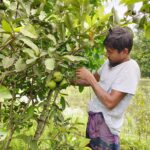 Pandemic-displaced driver turns saline wasteland into profitable integrated farm