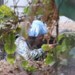 Vacant UN Counselor Post Stalls Bangladesh Police Participation in Peacekeeping Missions
