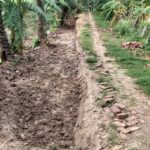 Jhenaidah man faces legal action after seizing public village road for private use