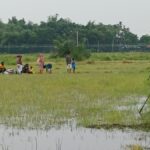 BSF withdraws ten migrants from Bangladesh border after 69-hour standoff