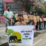Activists Urge Halt to Infrastructure Projects Threatening Elephant Corridors in Chittagong