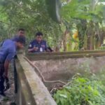 12 Crude Bombs Seized from Cemetery in Shariatpur, Investigation Underway