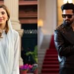 PML-N Leader Rebukes Singer Over Calls for Stricter Dress Code Legislation in Punjab
