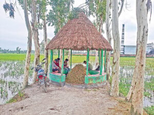 Pilot lightning shelter program in Gaibandha proves effective as budget constraints stall expansion