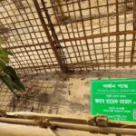 Bangladesh Prioritizes Native Species in Nationwide 250 Million Tree Planting Drive