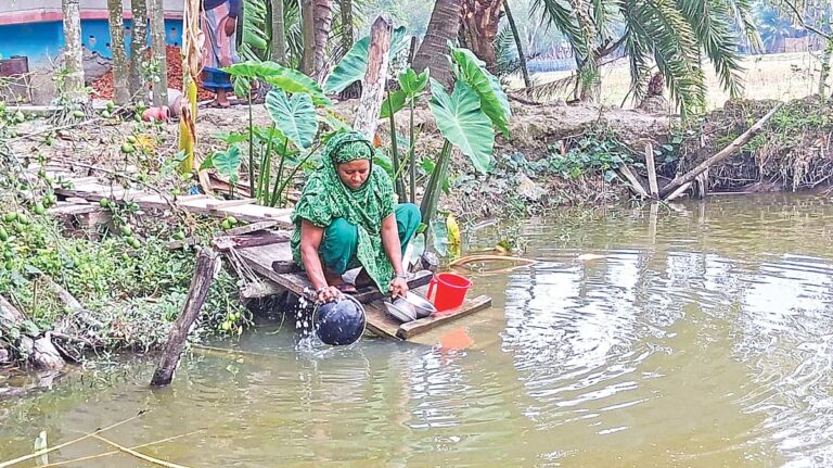 Rising Salinity in Coastal Groundwater Threatens Public Health and Agriculture in Barishal