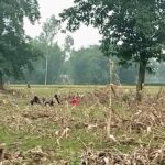 BGB Blocks Attempt by BSF to Push 11 Individuals Across Thakurgaon Border