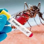 Nine-year-old boy dies of dengue at Gazipur hospital