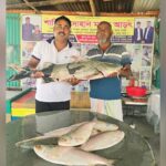 Endangered Bagarius Fish Fetches Premium Price at Bangladesh Market Despite Legal Protections