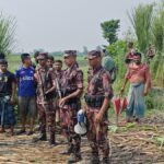 BGB Rejects Attempted Push-In of Indian National by BSF at Joypurhat Border