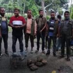 Bangladesh emerges as key transit hub for international wildlife smuggling syndicates