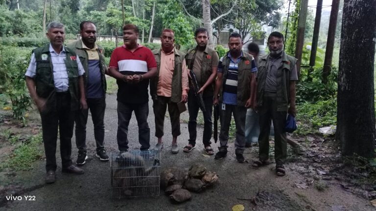 Bangladesh emerges as key transit hub for international wildlife smuggling syndicates