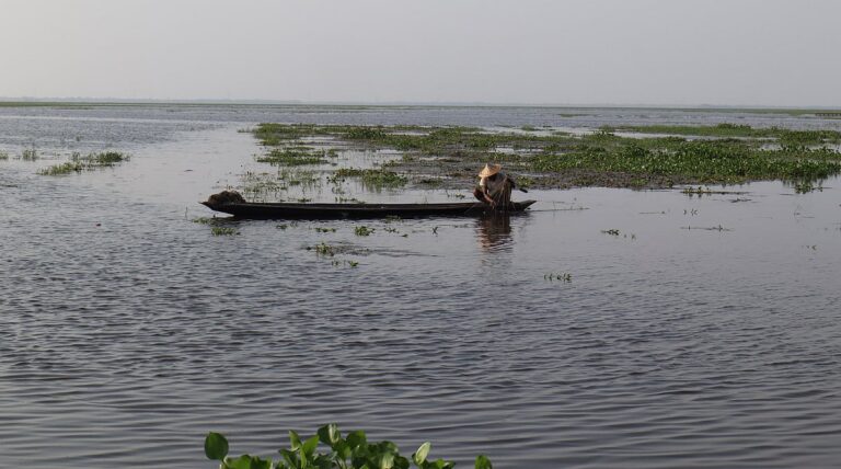 Flash Floods Devastate Seasonal Harvests in Maulvibazars Kauyadighi Haor