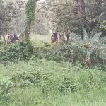28 stranded in Bangladesh-India border limbo after failed push-in attempt