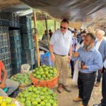 US Ambassador Highlights Export Potential During Rajshahi Mango Market Visit