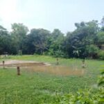 Six-year-old boy drowns in waterlogged field in Chittagong’s Lohagara