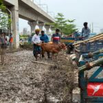 Temporary Cattle Market Damages Dhaka Metro Station Infrastructure