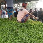Green Chili Prices Double in Joypurhat Market as Supply Dips