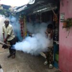 মরশুমের গণ্ডি পেরিয়ে সারা বছরই উদ্বেগ বাড়াচ্ছে ডেঙ্গু