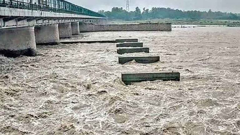পাঞ্জাবে নদীবক্ষে ভয়াবহ বন্যা, প্লাবিত জনপদ ও কৃষিজমি নিয়ে চরম উদ্বেগ