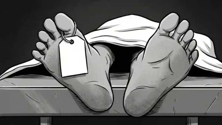 শরীয়তপুরের ডামুড্যায় বিদ্যুৎস্পৃষ্ট হয়ে কিশোরের মৃত্যু