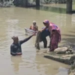 শরীয়তপুরে খাল পুনঃখননে বদলে যাচ্ছে গ্রামীণ জীবন, ফিরেছে কৃষকের সেচ আর জেলের মাছ