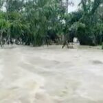 বাঁশখালীতে পাহাড়ি ঢলে দুই শিশুর মৃত্যু, পানিবন্দী দেড় লাখের বেশি মানুষ