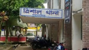 ত্রিশালে ভাইকে বাঁচাতে গিয়ে পুকুরে ডুবে দুই সহোদরের মৃত্যু