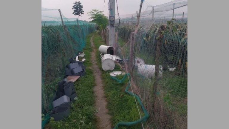 মহেশপুরে সেচ পাম্পের ট্রান্সফরমার চুরির হিড়িক, এক কোটি টাকা ক্ষতিপূরণের বোঝা কৃষকের ঘাড়ে