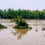উত্তরের পাঁচ জেলায় স্বল্পমেয়াদি বন্যার শঙ্কা কুশিয়ারা অববাহিকায় নদ-নদীর পানি বৃদ্ধি অব্যাহত