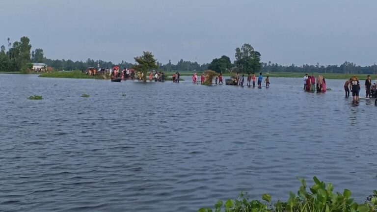 গাইবান্ধার সাঘাটায় বর্ষায় অপরূপ সৌন্দর্যের আধার তেনাচিড়া বিল