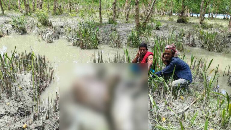 রাঙ্গাবালীর বনের খালে অবৈধ বাঁধ ও বিষ প্রয়োগে প্রাণহানি ও পরিবেশ বিপর্যয়ের শঙ্কা