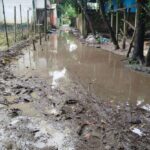 ছাগলনাইয়ায় দেড় যুগ ধরে সংস্কারহীন সড়ক, ৫০০ পরিবারের চরম দুর্ভোগ