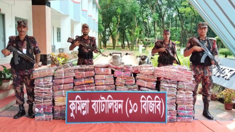 কুমিল্লা সীমান্তে আড়াই কোটি টাকার ভারতীয় শাড়িসহ দুটি যানবাহন জব্দ করেছে বিজিবি