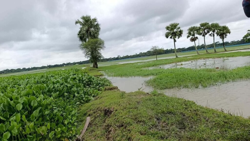 বরগুনার তালতলীতে দখল ও দূষণে অস্তিত্ব সংকটে আমখোলা খাল খননের দাবি কৃষকদের