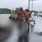 শ্রীনগরে এক্সপ্রেসওয়ে পার হওয়ার সময় বাসের ধাক্কায় অজ্ঞাত নারীর মৃত্যু