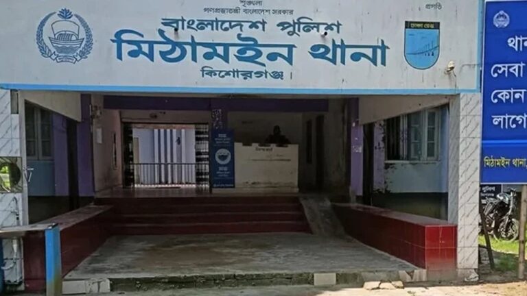 মিঠামইনে পুকুরে ডুবে ভাইবোনের মৃত্যু