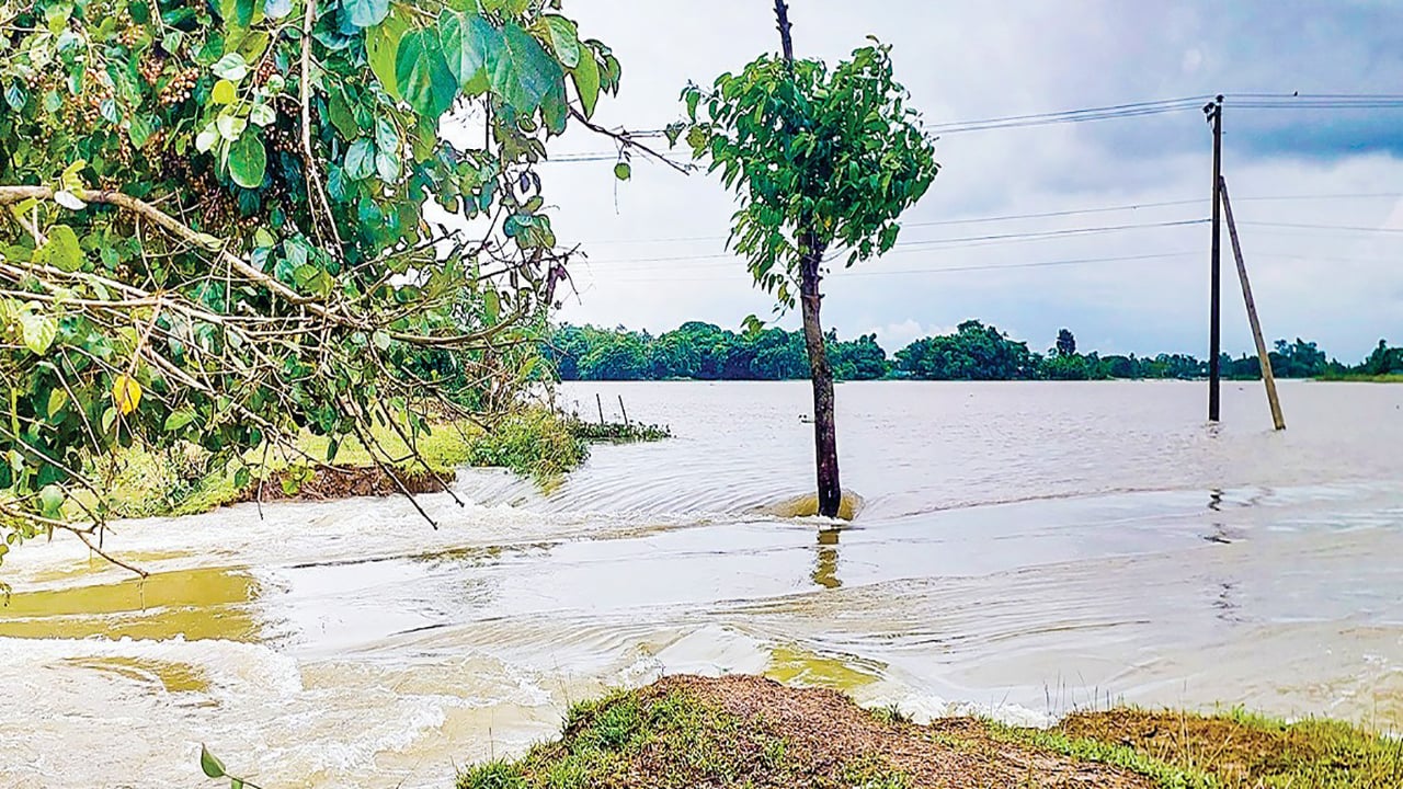 জামালগঞ্জে বেড়িবাঁধ ভেঙে ফসলের জমি ও সড়ক যোগাযোগ ঝুঁকিতে
