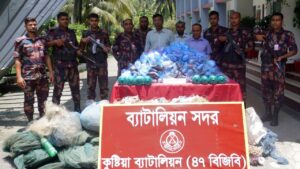 কুষ্টিয়ায় বিজিবির অভিযানে ৪৪ লক্ষাধিক টাকার ভারতীয় জাল ও মাদক জব্দ