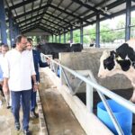 গবাদিপশুর জাত উন্নয়নে খামার ব্যবস্থাপনায় বিশেষ গুরুত্ব দিচ্ছে সরকার