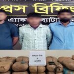 বীরগঞ্জে ৫৬ কেজি গাঁজাসহ গ্রেপ্তার ৩