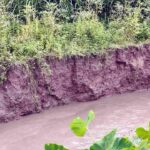 বগুড়ার শেরপুরে ভারী বর্ষণে তীব্র ভাঙন, ঝুঁকিতে দশ গ্রামের কৃষি জমি ও বসতভিটা