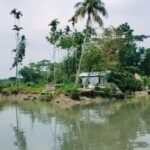 ঝালকাঠিতে জোয়ার ও বৃষ্টির পানিতে প্লাবিত ২০ গ্রাম তলিয়ে ফসলের ব্যাপক ক্ষয়ক্ষতি