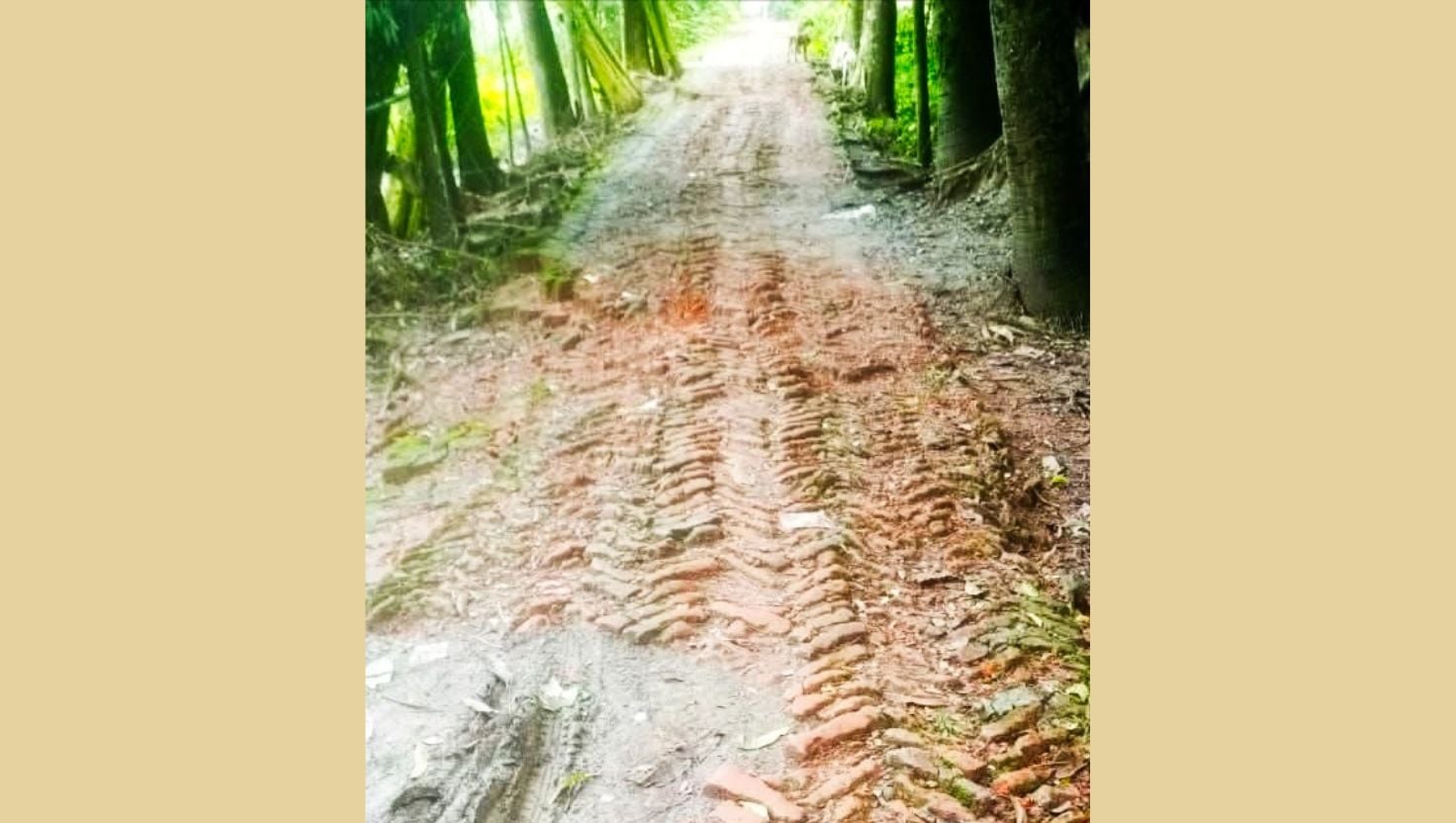 ২১ বছরেও পাকা হয়নি বাবুগঞ্জের গুরুত্বপূর্ণ সড়ক দুর্ভোগে জনজীবন