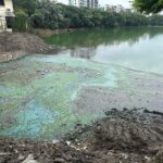 Cosmetic Upgrades Fail to Mask Severe Pollution in Dhaka Luxury Lake District
