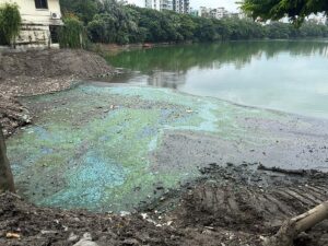 Cosmetic Upgrades Fail to Mask Severe Pollution in Dhaka Luxury Lake District