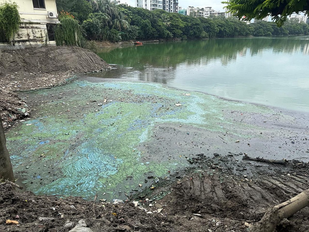 Cosmetic Upgrades Fail to Mask Severe Pollution in Dhaka Luxury Lake District