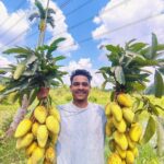 Exotic Fruit Varieties Drive Financial Turnaround for Bangladeshi Family Farm